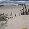 Namibia, Torra Bay beach, ship wreck