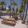 Philippines, Panglao, Dumaluan beach, palms, hammock