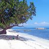 Philippines, Panglao, Momo beach, white sand