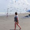 USA, Texas, Matagorda Island, beach