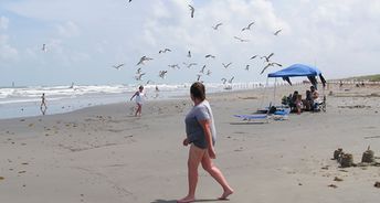 USA, Texas, Matagorda Island, beach