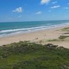 USA, Texas, South Padre Island, beach, grass