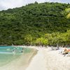 USVI, St. Thomas, Magens Bay beach, palm