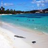 USVI, St. Thomas, Sapphire Beach, water edge