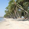 Vietnam, Mui Ne beach, palms