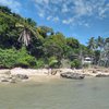 Brazil, Morro de Sao Paulo, Praia Porto de Cima beach, palms