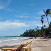 Brazil, Morro de Sao Paulo, Quarta Praia beach, palms