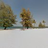 Cambodia, Sihanoukville, Prek Treng beach, trees & palms