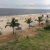 Congo (DR), Muanda beach, palms