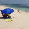 Guadeloupe, Grande Terre, Anse de Salines beach, parasol