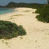 Guadeloupe, Grande Terre, Anse de Salines beach, view from west