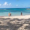 Guadeloupe, Grande Terre, Anse des Rochers beach, tree shadow