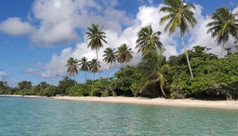 Guadeloupe, Grande Terre, Bois Jolan beach