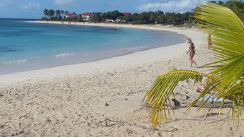 Guadeloupe, Grande Terre, Raisins Clairs beach