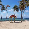 Guadeloupe, La Desirade, Grande Anse beach, palms