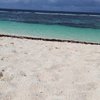 Guadeloupe, La Desirade, Grande Anse beach, sand