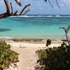 Guadeloupe, Marie-Galante, Anse Feuillard beach, trees