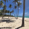 Guadeloupe, Marie-Galante, Capesterre, Feuillere beach