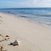 Guadeloupe, Marie-Galante, Folle Anse beach, wet sand