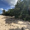Guadeloupe, Marie-Galante, Plage de Moustique beach