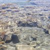 Israel, Eilat, Snuba beach, clear water