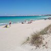 Italy, Apulia, Baia Verde beach, sand dune