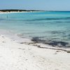 Italy, Apulia, Punta Prosciutto beach