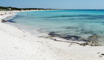 Italy, Apulia, Punta Prosciutto beach