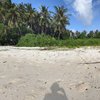 Maldives, Dhaalu, Kudahuvadhoo beach, view from water