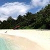 Maldives, Dhaalu, Niyama island, beach