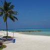 Мальдивы, Даалу, Остров Нияма, пляж, пальма