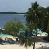 Maldives, Meemu, Mulah island, palms