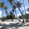 Maldives, Thaa, Gaadhiffushi, palm beach