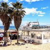 Spain, Barcelona beach, palms