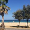 Spain, Costa Barcelona, Badalona beach, trees & palm