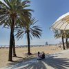 Spain, Costa Barcelona, Barceloneta beach, palms