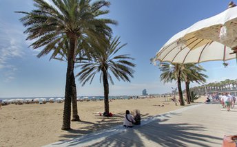 Spain, Costa Barcelona, Barceloneta beach, palms