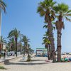 Spain, Costa Barcelona, Cunit beach, palms