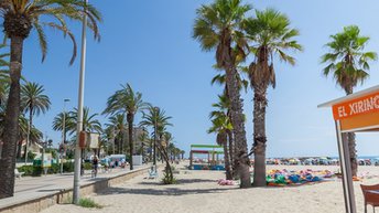 Spain, Costa Barcelona, Cunit beach, palms