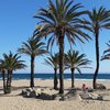Spain, Costa Brava, Roses beach (Girona), palms