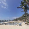 Spain, Gran Canaria, Anfi beach, palms