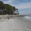 USA, Georgia, St. Simons Island, beach, trees