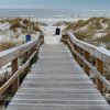 USA, Georgia, Tybee Island, dunes