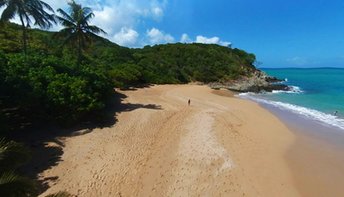Guadeloupe, Basse Terre, Anse Tillet beach