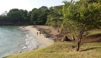 Guadeloupe, Basse Terre, Manbia beach