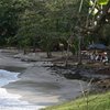 Guadeloupe, Basse Terre, Manbia beach, hut