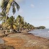 Guadeloupe, Basse Terre, Sainte Claire beach, creek