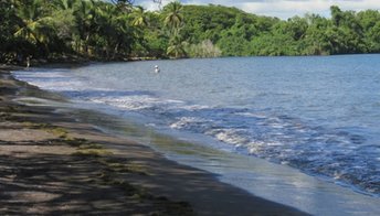 Guadeloupe, Basse Terre, Viard beach