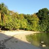 Guadeloupe, Grande Terre, Anse a Jacques beach, palm