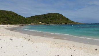 Guadeloupe, Grande Terre, Anse a l'Eau beach